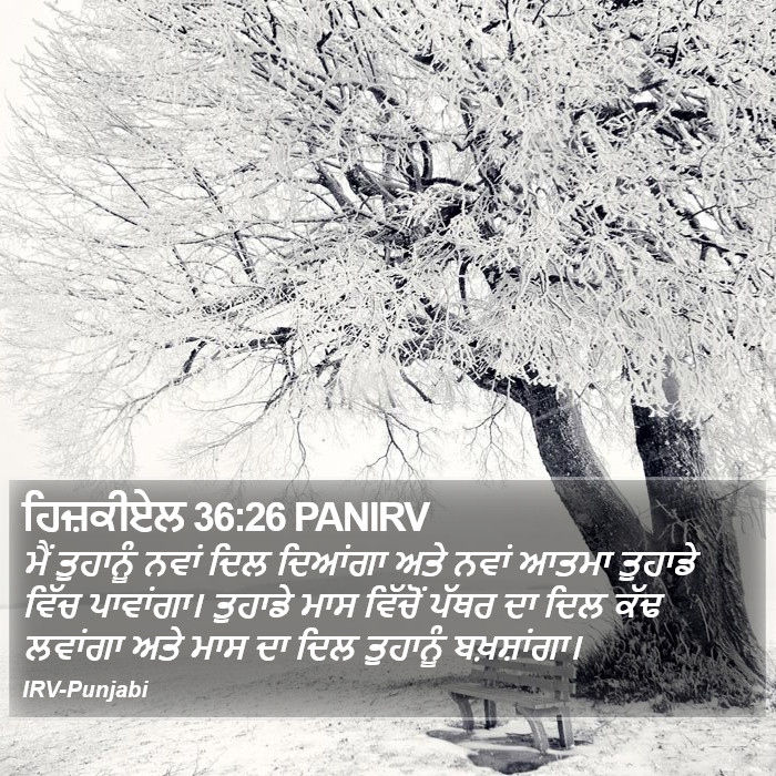 ਮੈਂ ਤੁਹਾਨੂੰ ਨਵਾਂ ਦਿਲ ਦਿਆਂਗਾ ਅਤੇ ਨਵਾਂ ਆਤਮਾ ਤੁਹਾਡੇ ਵਿੱਚ ਪਾਵਾਂਗਾ। ਤੁਹਾਡੇ ਮਾਸ ਵਿੱਚੋਂ ਪੱਥਰ ਦਾ ਦਿਲ ਕੱਢ ਲਵਾਂਗਾ ਅਤੇ ਮਾਸ ਦਾ ਦਿਲ ਤੁਹਾਨੂੰ ਬਖ਼ਸ਼ਾਂਗਾ। ਹਿਜ਼ ਕੀ ਐਲ (Ezekiel) 36:26