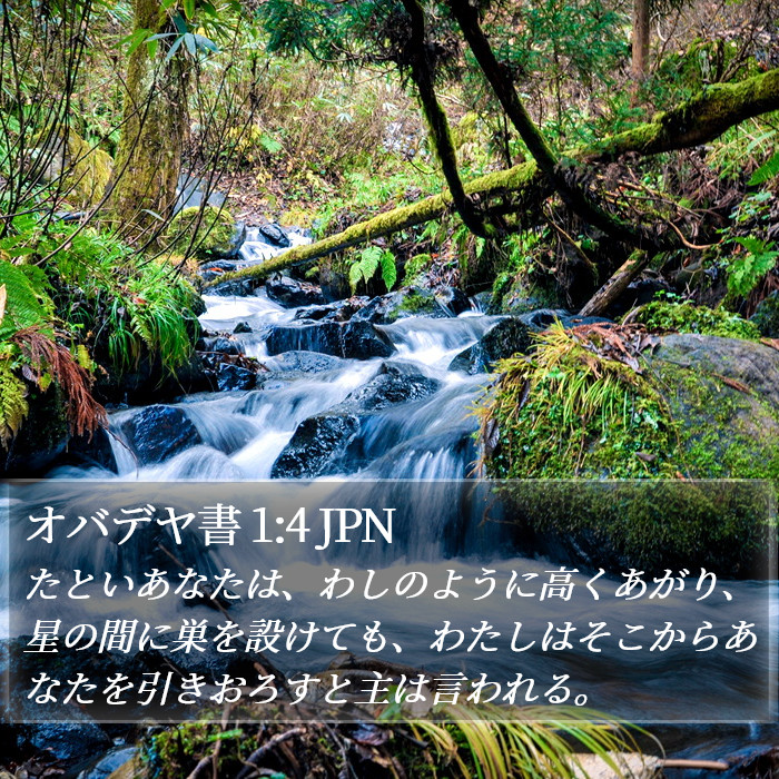 オバデヤ書 (Obadiah) 1:4
