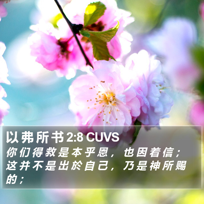 以弗所书 - 普通话音频圣经 - Ephesians 2:8
