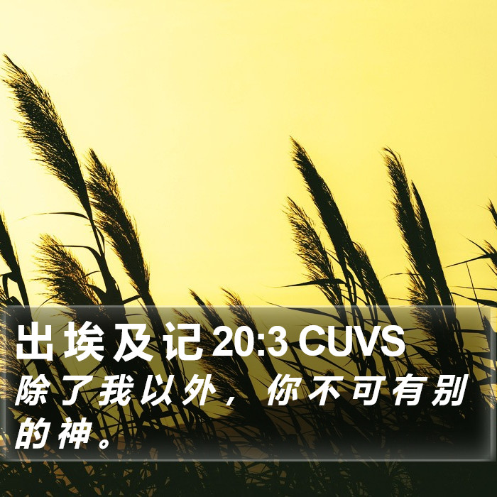 出埃及记 - 普通话音频圣经 - Exodus 20:3