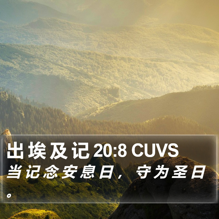 出埃及记 - 普通话音频圣经 - Exodus 20:8