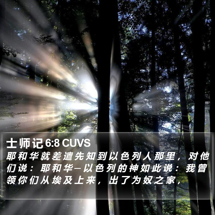 士师记 - 普通话音频圣经 - Judges 6:8