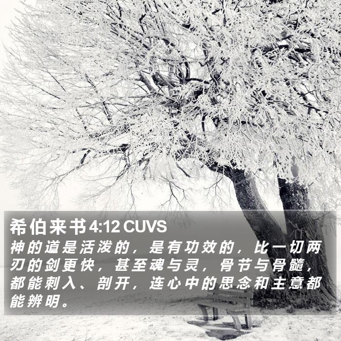 希伯来书 - 普通话音频圣经 - Hebrews 4:12