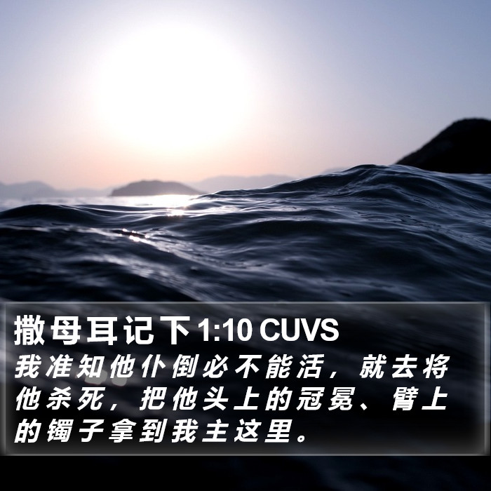 撒母耳记下 - 普通话音频圣经 - 2 Samuel 1:10