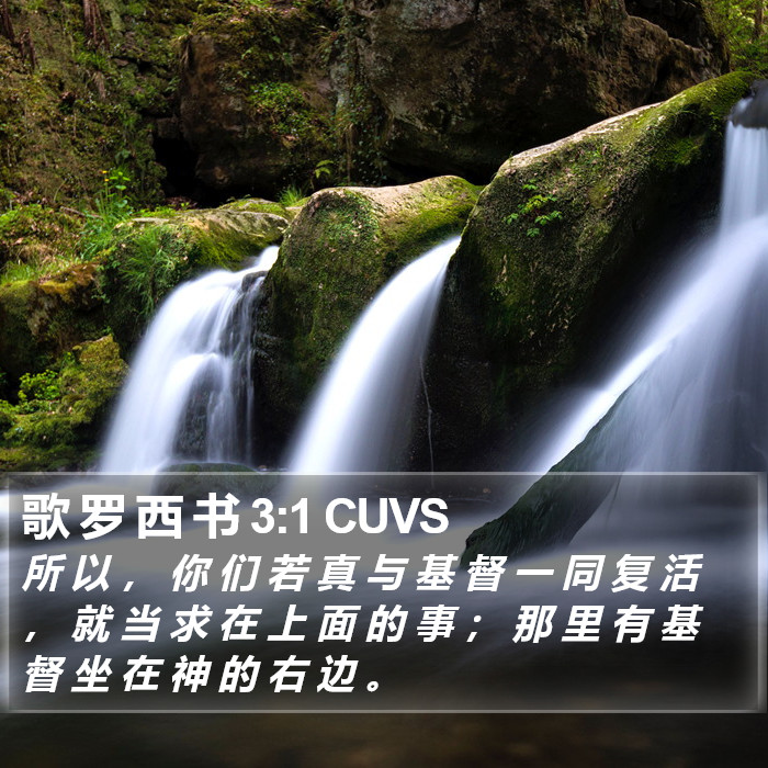 歌罗西书 - 普通话音频圣经 - Colossians 3:1