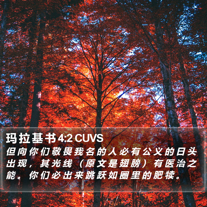 玛拉基书 - 普通话音频圣经 - Malachi 4:2