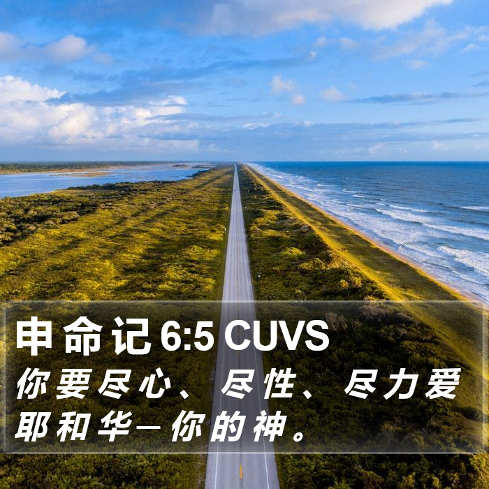 申命记 - 普通话音频圣经 - Deuteronomy 6:5