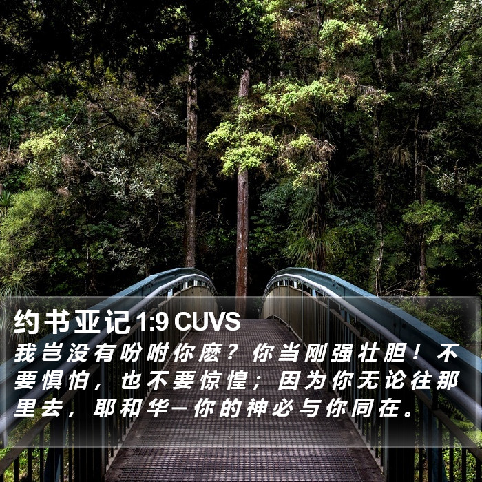 约书亚记 - 普通话音频圣经 - Joshua 1:9