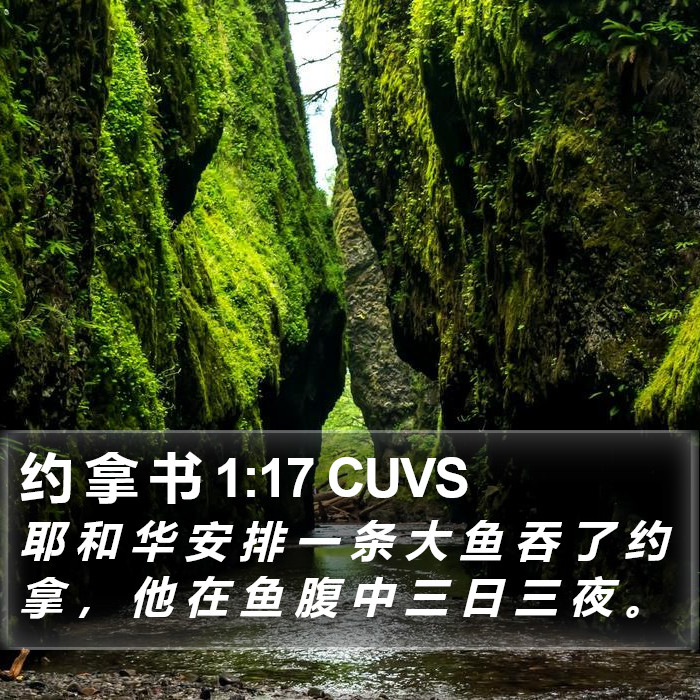 约拿书 - 普通话音频圣经 - Jonah 1:17