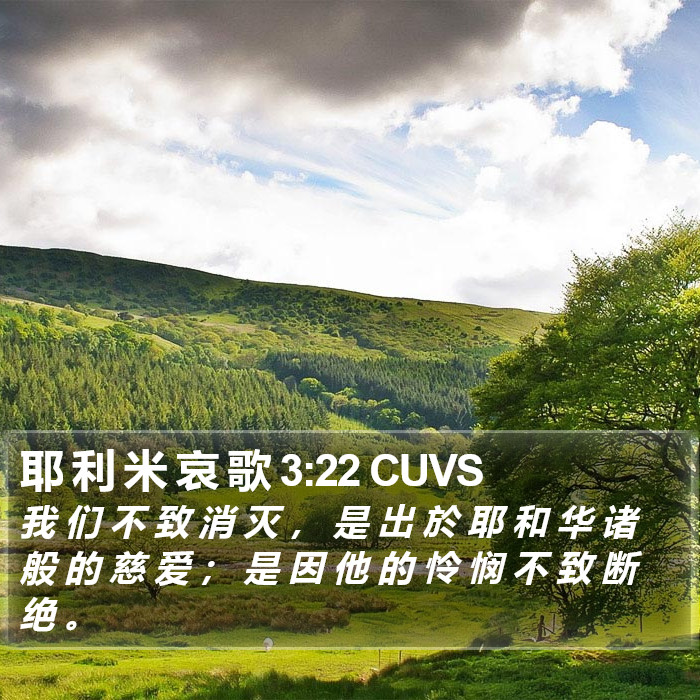 耶利米哀歌 - 普通话音频圣经 - Lamentations 3:22