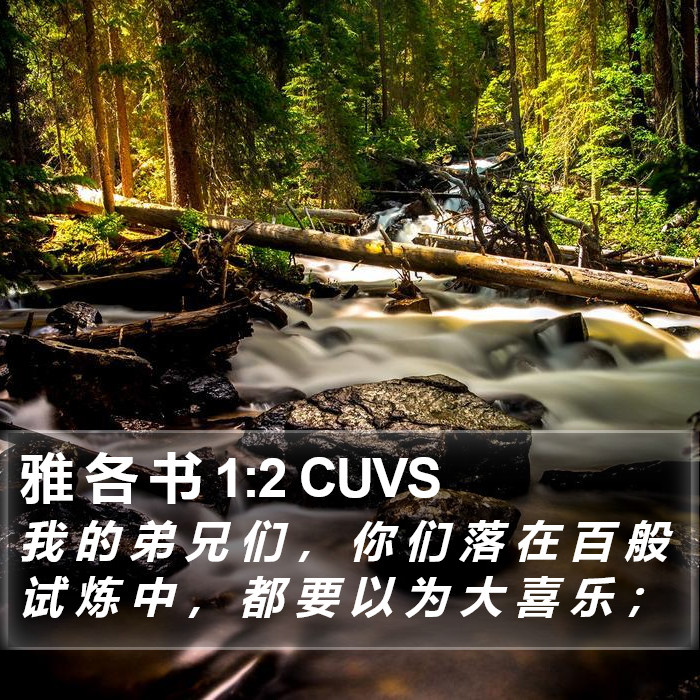 雅各书 - 普通话音频圣经 - James 1:2
