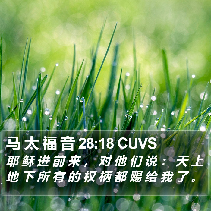 马太福音 - 普通话音频圣经 - Matthew 28:18