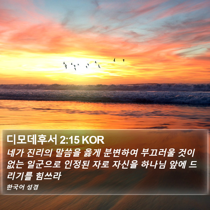 디모데후서 (2 Timothy) 2:15