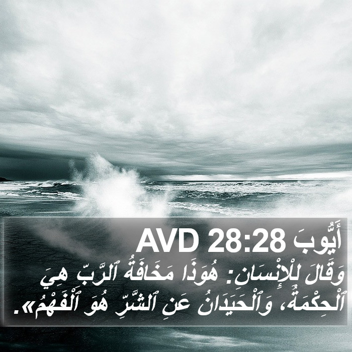 أيوب - Job 28:28