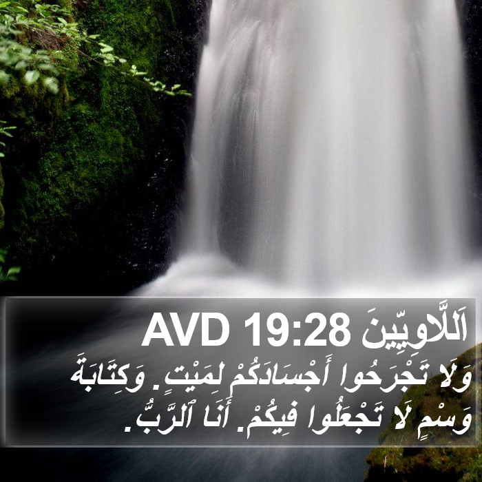 اللاويين - Leviticus 19:28