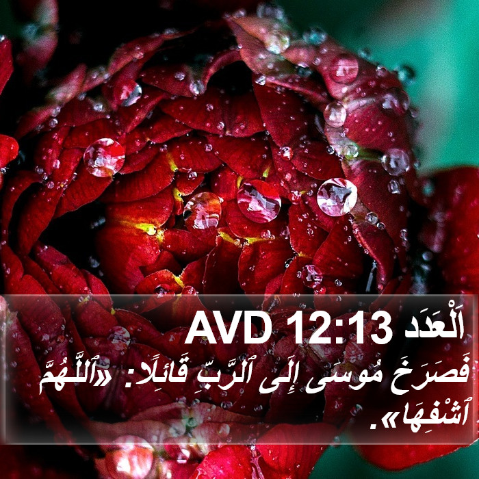العدد - Numbers 12:13