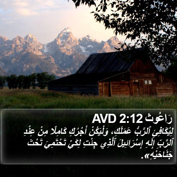 راعوث - Ruth 2:12