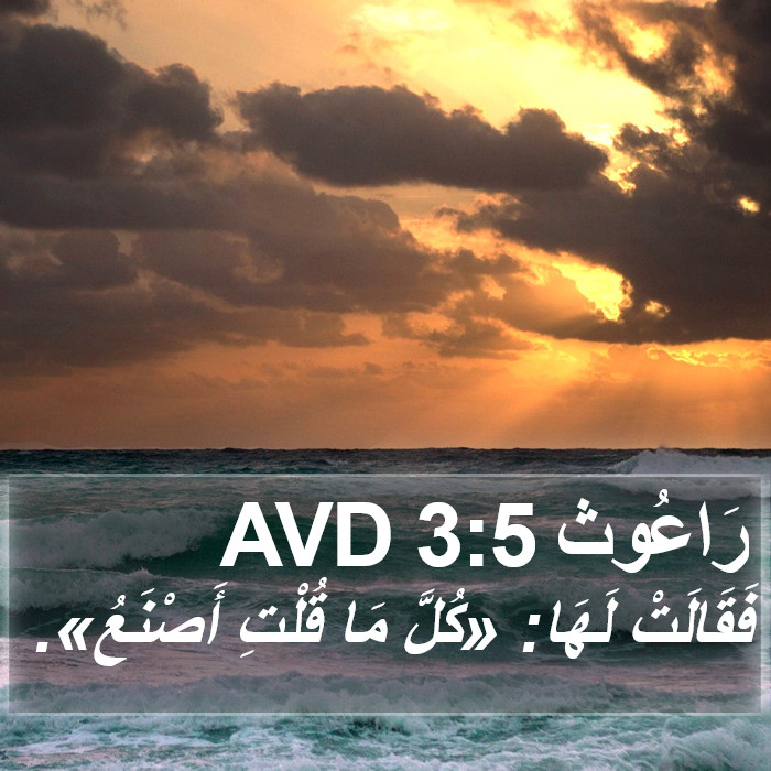 راعوث - Ruth 3:5