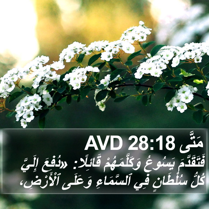 متى - Matthew 28:18