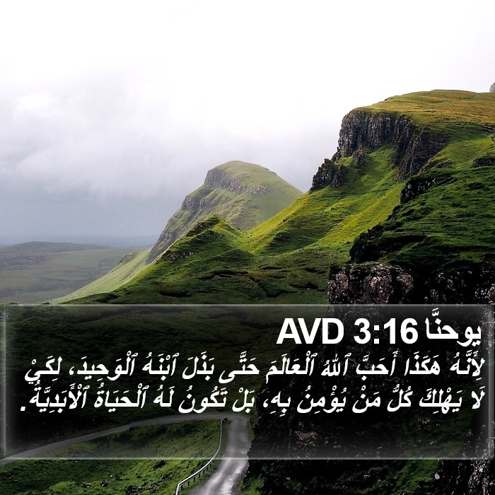 يوحنا - John 3:16