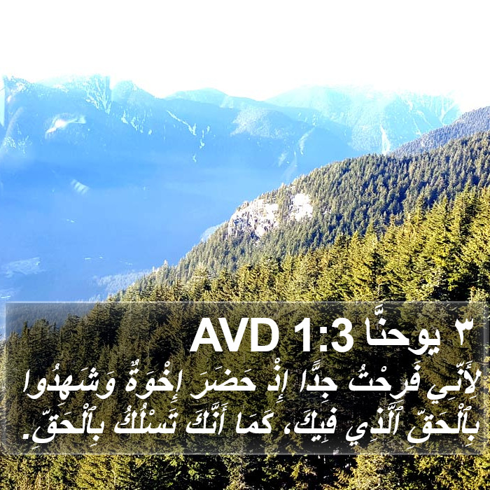 يوحنا ٣ (3 John) 1:3