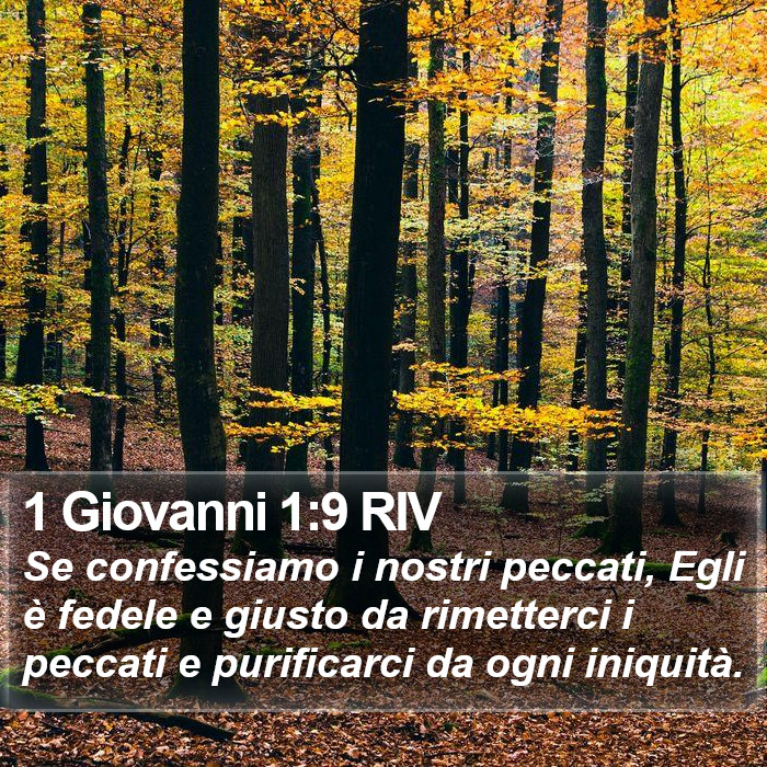 Il libro di 1 Giovanni - Se confessiamo i nostri peccati, Egli è fedele e giusto da rimetterci i peccati e purificarci da ogni iniquità. 1 Giovanni 1:9 RIV