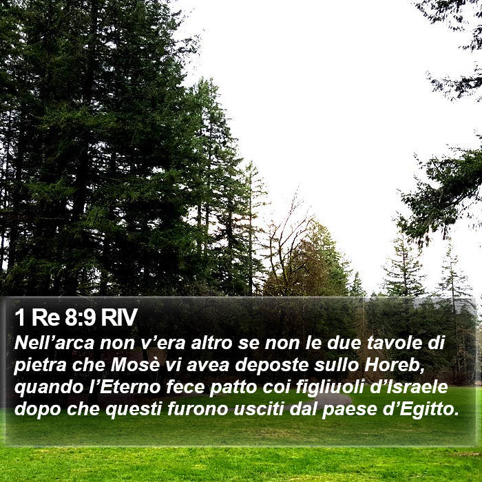 Il libro di 1 Re - Nell’arca non v’era altro se non le due tavole di pietra che Mosè vi avea deposte sullo Horeb, quando l’Eterno fece patto coi figliuoli d’Israele dopo che questi furono usciti dal paese d’Egitto. 1 Re 8:9 RIV