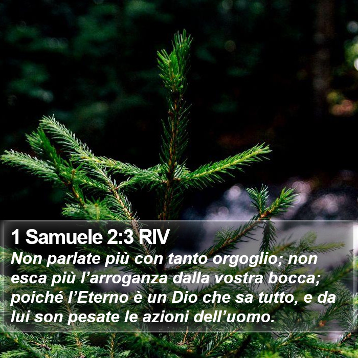 Il libro di 1 Samuele - Non parlate più con tanto orgoglio; non esca più l’arroganza dalla vostra bocca; poiché l’Eterno è un Dio che sa tutto, e da lui son pesate le azioni dell’uomo. 1 Samuele 2:3 RIV