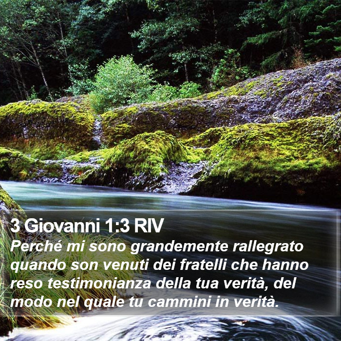 Il libro di 3 Giovanni - Perché mi sono grandemente rallegrato quando son venuti dei fratelli che hanno reso testimonianza della tua verità, del modo nel quale tu cammini in verità. 3 Giovanni 1:3 RIV