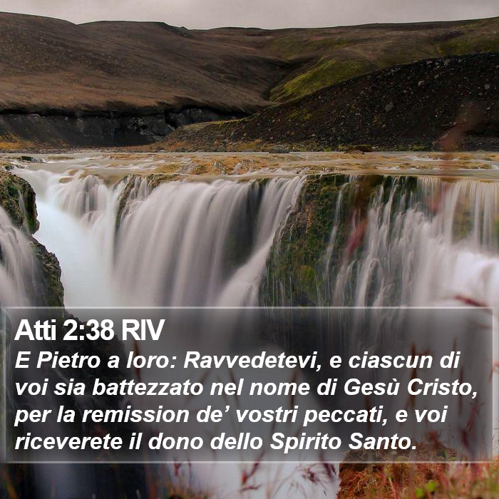 Il libro degli Atti - E Pietro a loro: Ravvedetevi, e ciascun di voi sia battezzato nel nome di Gesù Cristo, per la remission de’ vostri peccati, e voi riceverete il dono dello Spirito Santo. Atti 2:38 RIV