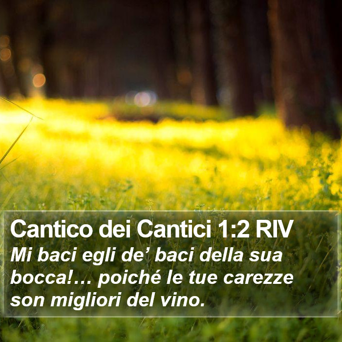 Il libro del Cantico dei Cantici - Mi baci egli de’ baci della sua bocca!… poiché le tue carezze son migliori del vino. Cantico dei Cantici 1:2 RIV
