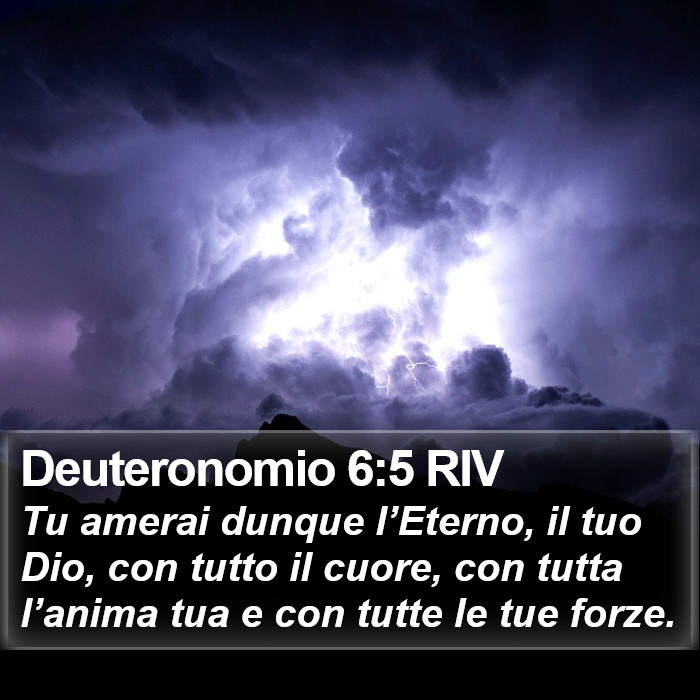 Il libro del Deuteronomio - Tu amerai dunque l’Eterno, il tuo Dio, con tutto il cuore, con tutta l’anima tua e con tutte le tue forze. Deuteronomio 6:5 RIV