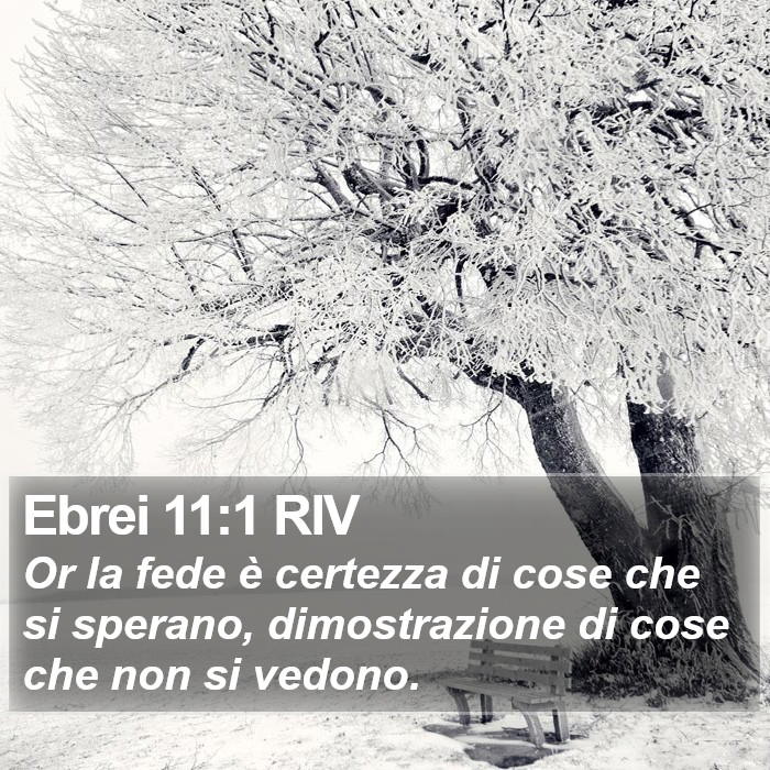 Il libro degli Ebrei - Or la fede è certezza di cose che si sperano, dimostrazione di cose che non si vedono. Ebrei 11:1 RIV