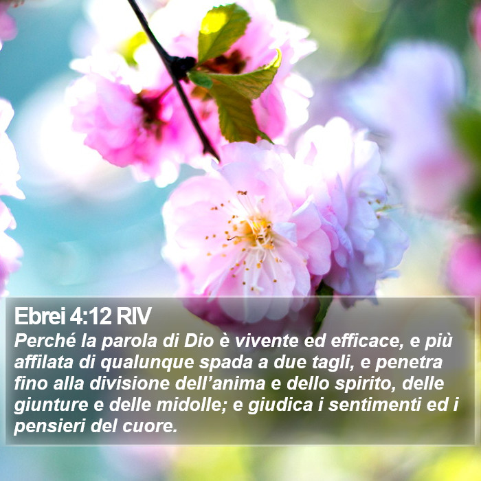 Il libro degli Ebrei - Perché la parola di Dio è vivente ed efficace, e più affilata di qualunque spada a due tagli, e penetra fino alla divisione dell’anima e dello spirito, delle giunture e delle midolle; e giudica i sentimenti ed i pensieri del cuore. Ebrei 4:12 RIV