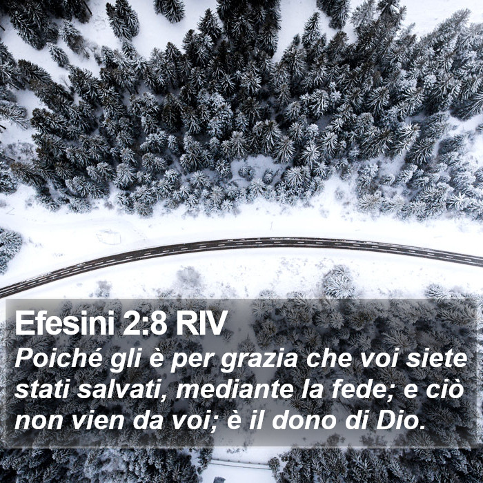 Il libro degli Efesini - Poiché gli è per grazia che voi siete stati salvati, mediante la fede; e ciò non vien da voi; è il dono di Dio. Efesini 2:8 RIV