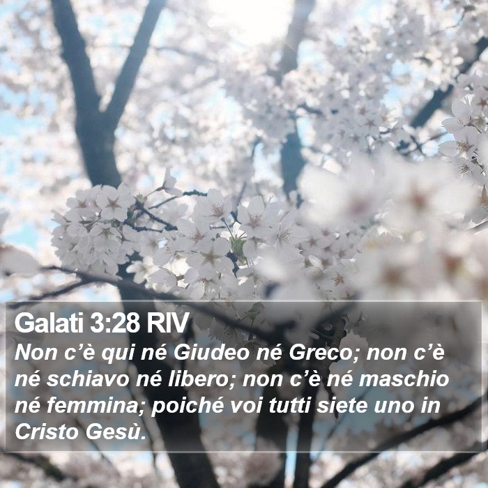 Il libro dei Galati - Non c’è qui né Giudeo né Greco; non c’è né schiavo né libero; non c’è né maschio né femmina; poiché voi tutti siete uno in Cristo Gesù. Galati 3:28 RIV