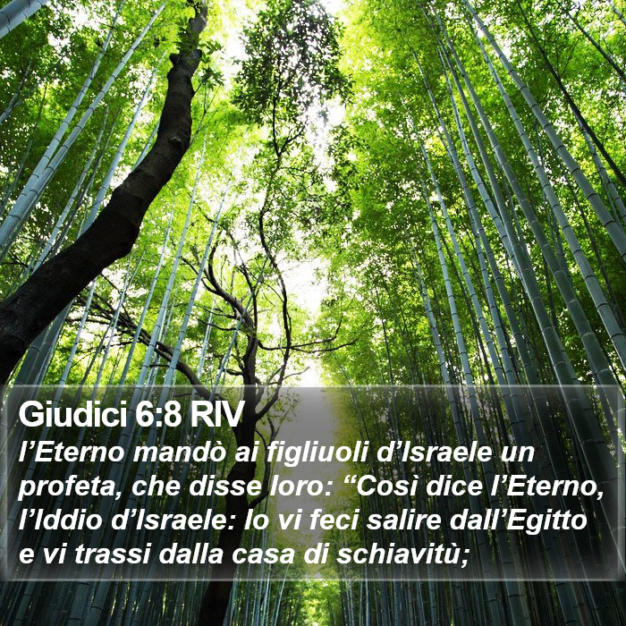 Il libro dei Giudici - l’Eterno mandò ai figliuoli d’Israele un profeta, che disse loro: “Così dice l’Eterno, l’Iddio d’Israele: Io vi feci salire dall’Egitto e vi trassi dalla casa di schiavitù; Giudici 6:8 RIV