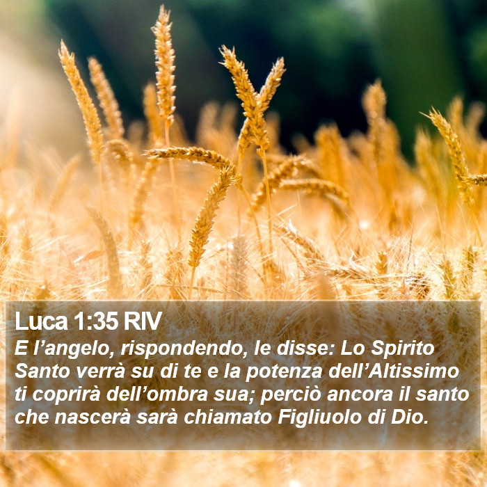 Il libro di Luca - E l’angelo, rispondendo, le disse: Lo Spirito Santo verrà su di te e la potenza dell’Altissimo ti coprirà dell’ombra sua; perciò ancora il santo che nascerà sarà chiamato Figliuolo di Dio. Luca 1:35 RIV