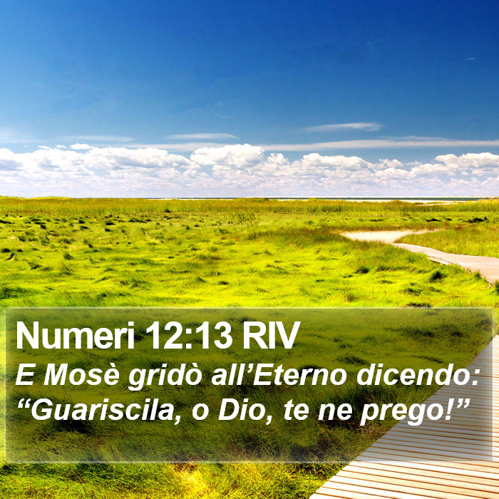 Il libro dei Numeri  - E Mosè gridò all’Eterno dicendo: “Guariscila, o Dio, te ne prego!” Numeri 12:13 RIV