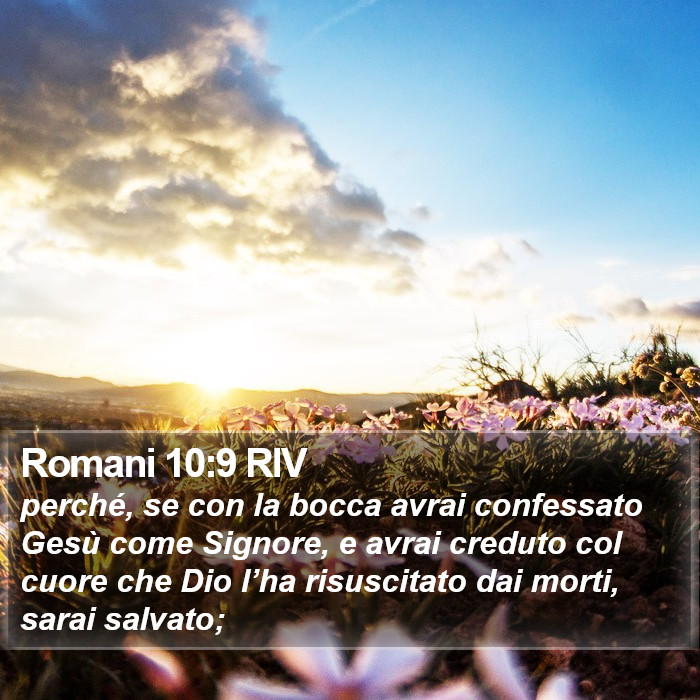 Il Libro dei Romani - perché, se con la bocca avrai confessato Gesù come Signore, e avrai creduto col cuore che Dio l’ha risuscitato dai morti, sarai salvato; Romani 10:9 RIV