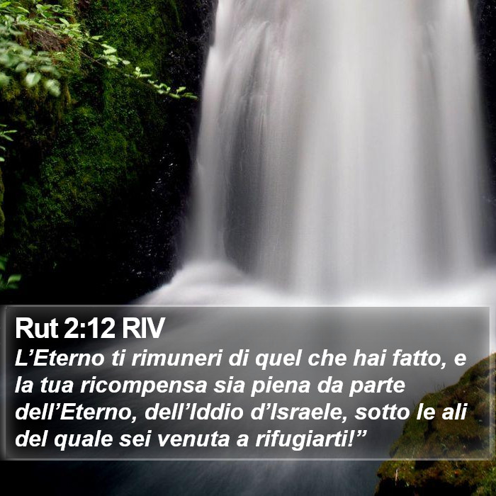 Il libro di Rut - L’Eterno ti rimuneri di quel che hai fatto, e la tua ricompensa sia piena da parte dell’Eterno, dell’Iddio d’Israele, sotto le ali del quale sei venuta a rifugiarti!” Rut 2:12 RIV