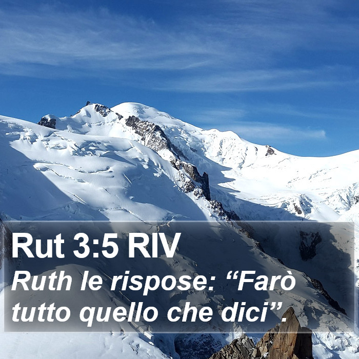 Il libro di Rut - Ruth le rispose: “Farò tutto quello che dici”. - Rut 3:5 RIV