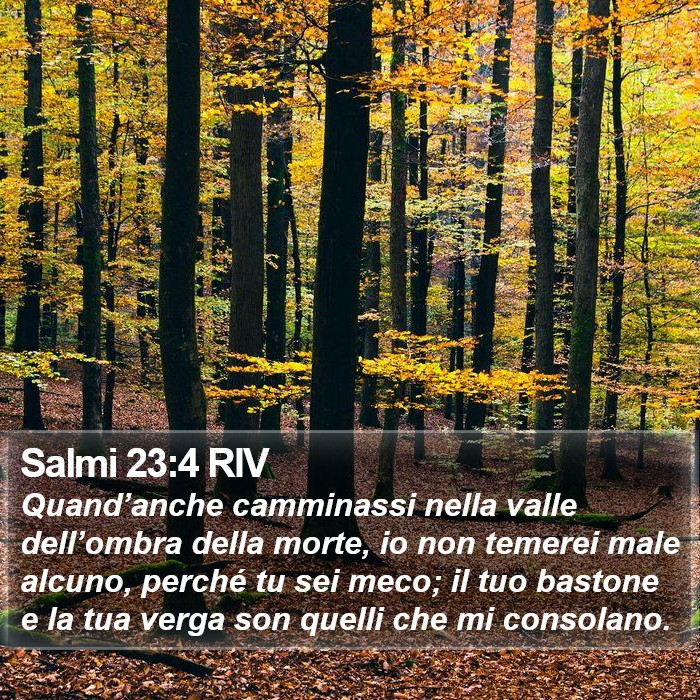 Il libro dei Salmi - Quand’anche camminassi nella valle dell’ombra della morte, io non temerei male alcuno, perché tu sei meco; il tuo bastone e la tua verga son quelli che mi consolano. Salmi 23:4 RIV
