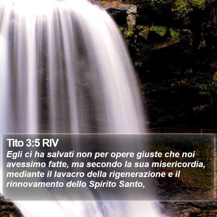 Il libro di Tito - Egli ci ha salvati non per opere giuste che noi avessimo fatte, ma secondo la sua misericordia, mediante il lavacro della rigenerazione e il rinnovamento dello Spirito Santo, Tito 3:5 RIV