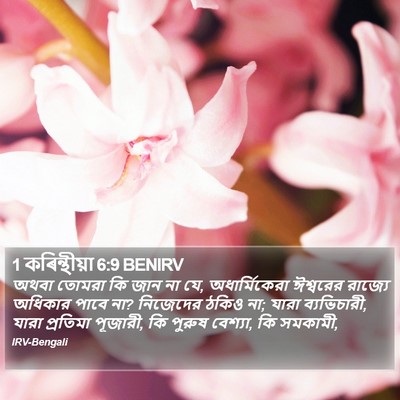 অথবা তোমরা কি জান না যে, অধার্মিকেরা ঈশ্বরের রাজ্যে অধিকার পাবে না? নিজেদের ঠকিও না; যারা ব্যভিচারী, যারা প্রতিমা পূজারী, কি পুরুষ বেশ্যা, কি সমকামী, ১ করিন্থীয় (1 Corinthians) 6:9
