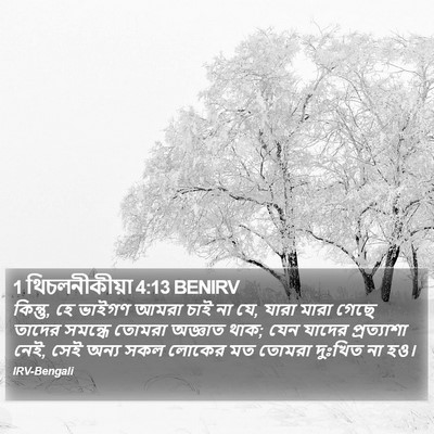 কিন্তু, হে ভাইগণ আমরা চাই না যে, যারা মারা গেছে তাদের সমন্ধে তোমরা অজ্ঞাত থাক; যেন যাদের প্রত্যাশা নেই, সেই অন্য সকল লোকের মত তোমরা দুঃখিত না হও। ১ থেসালোনিকীয় ( 1 Thessalonians) 4:13