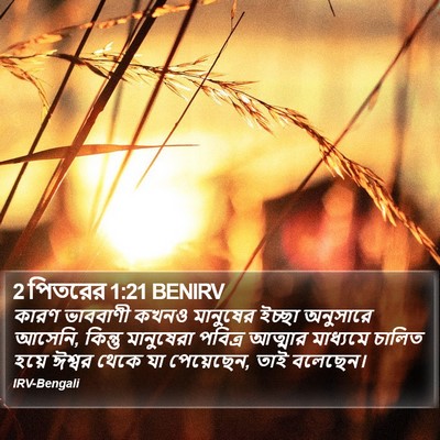 কারণ ভাববাণী কখনও মানুষের ইচ্ছা অনুসারে আসেনি, কিন্তু মানুষেরা পবিত্র আত্মার মাধ্যমে চালিত হয়ে ঈশ্বর থেকে যা পেয়েছেন, তাই বলেছেন। ২ পিটার (2 Peter) 1:21