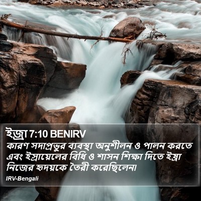 কারণ সদাপ্রভুর ব্যবস্থা অনুশীলন ও পালন করতে এবং ইস্রায়েলের বিধি ও শাসন শিক্ষা দিতে ইষ্রা নিজের হৃদয়কে তৈরী করেছিলেন৷ এজরা (Ezra) 7:10