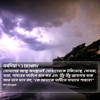 তোমাদের আত্ম অহঙ্কারই তোমাদেরকে ঠকিয়েছে, তোমরা, যারা, পাথরের ফাটলে বাস কর এবং উঁচু উঁচু জায়গায় থাক আর মনে মনে বল, “কে আমাকে মাটিতে নামাতে পারবে?” ওবাদিয়া (Obadiah) 1:3