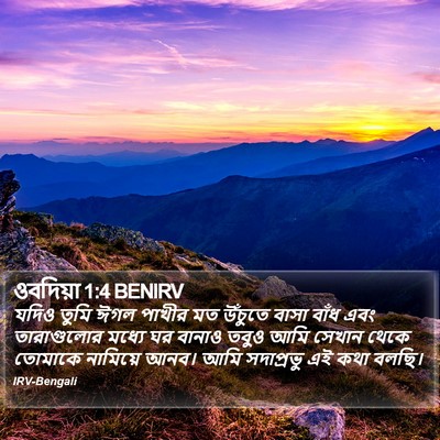 যদিও তুমি ঈগল পাখীর মত উঁচুতে বাসা বাঁধ এবং তারাগুলোর মধ্যে ঘর বানাও তবুও আমি সেখান থেকে তোমাকে নামিয়ে আনব। আমি সদাপ্রভু এই কথা বলছি। ওবাদিয়া (Obadiah) 1:4